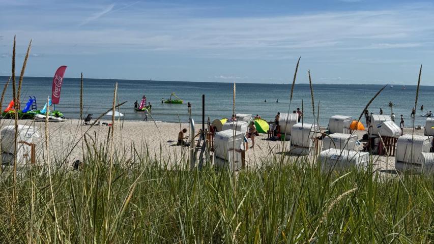 20240731-Frank3 Strand von Haffkrug