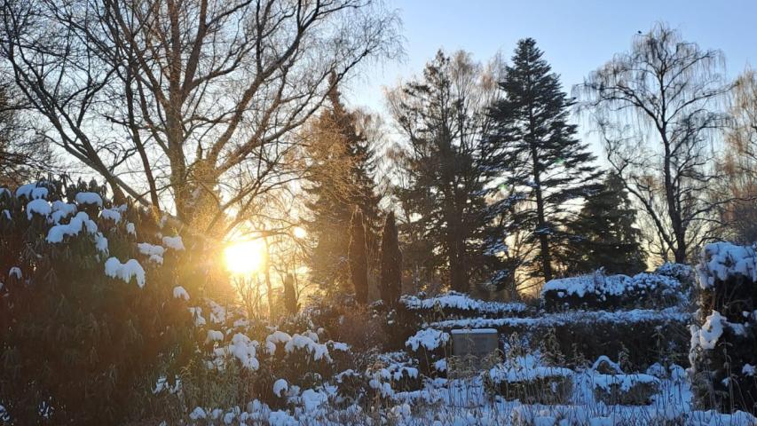 Winterstimmung auf dem Friedhof Winterstimmung auf dem Friedhof