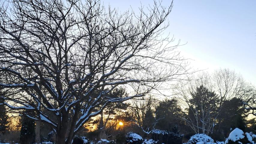 Winterstimmung auf dem Friedhof Winterstimmung auf dem Friedhof