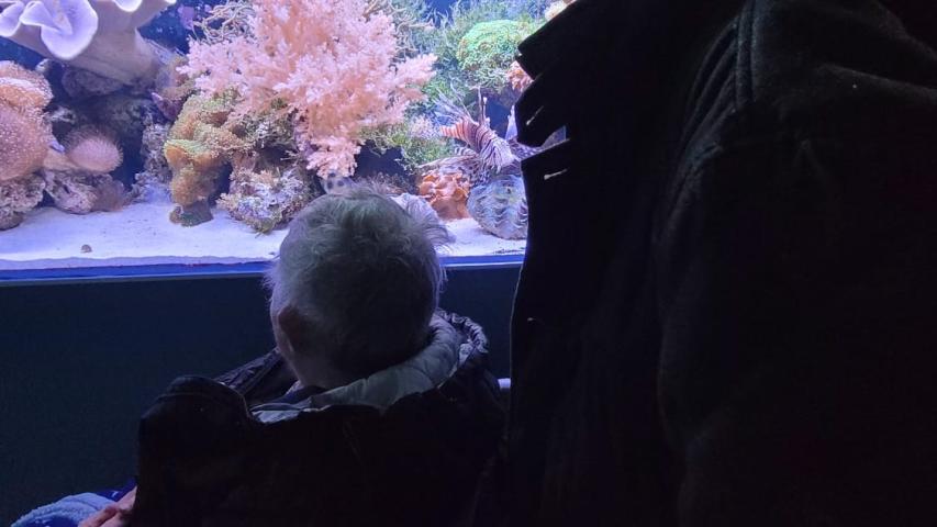 Frau K. und ihr Mann vor einem Aquariumbecken Frau K. und ihr Mann vor einem Aquariumbecken