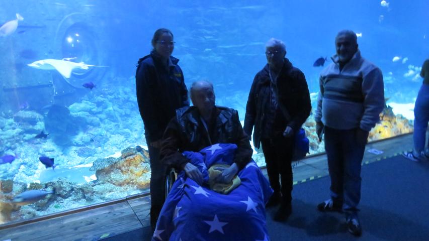 Herr H. vor dem großen Aquarium Herr H. vor dem großen Aquarium