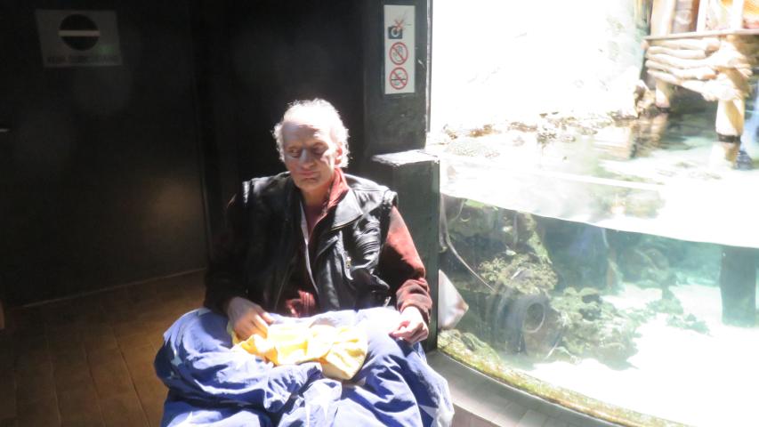 Herr H. im Rollstuhl vor einem Aquarium Herr H. im Rollstuhl vor einem Aquarium