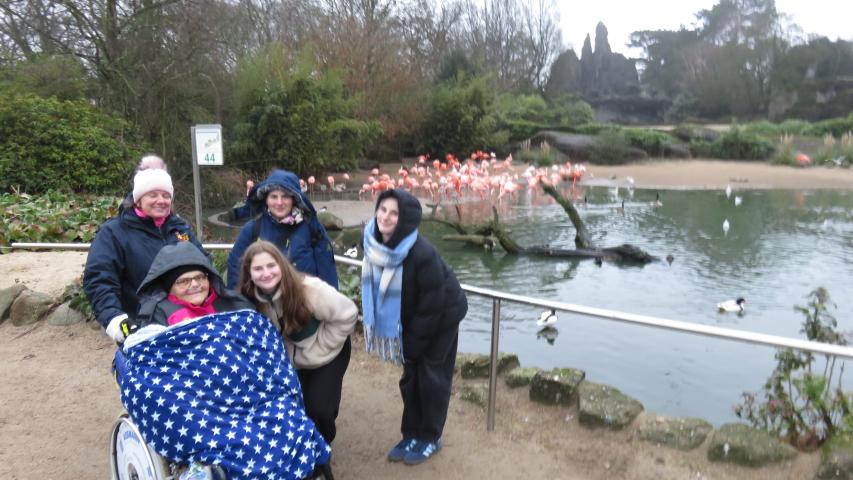 Waltraud und ihre Liebsten bei den Flamingos Waltraud und ihre Liebsten bei den Flamingos