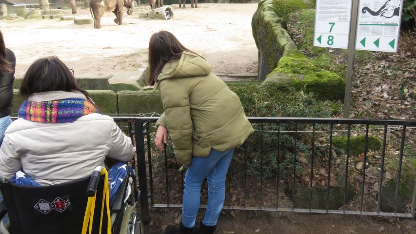 Wunschfahrt zum Tierpark Hagenbeck Wunschfahrt zum Tierpark Hagenbeck