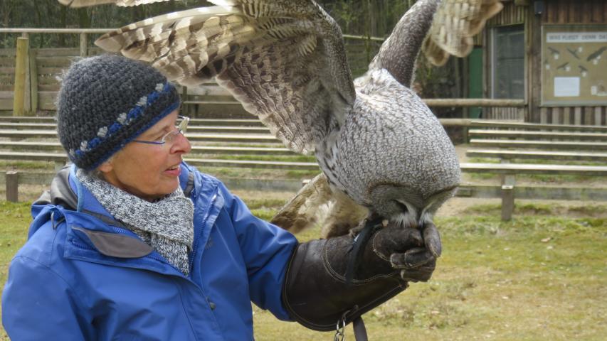 Wunschfahrt zum Wildpark Eekholt Wunschfahrt zum Wildpark Eekholt