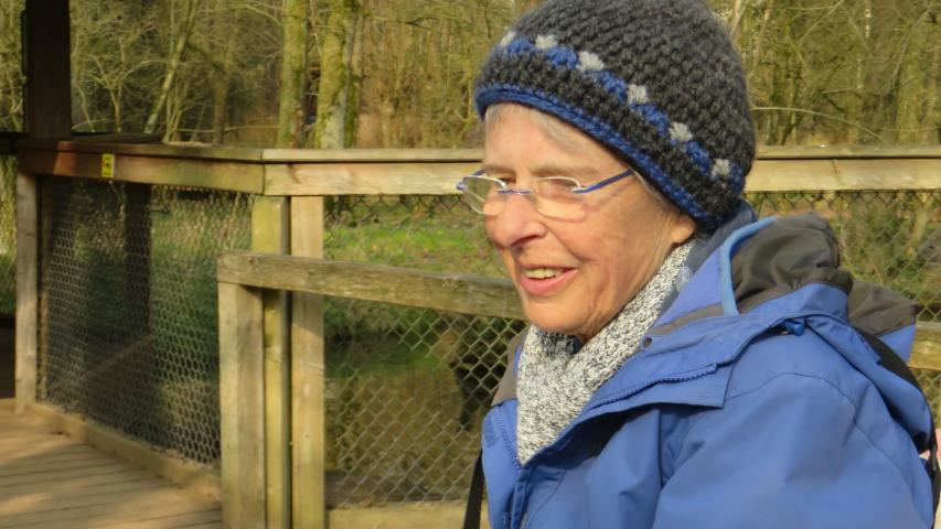 Wunschfahrt zum Wildpark Eekholt Wunschfahrt zum Wildpark Eekholt